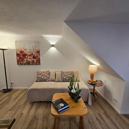 Valentina Apartment Bad Rappenau